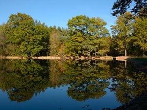 81a_400x300