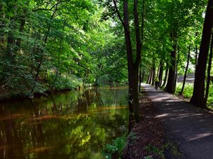 85a_400x300