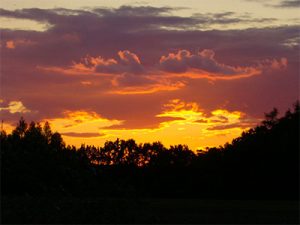 91a_400x300