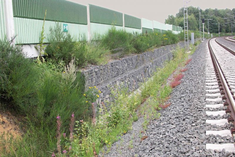 e602a0d5c29b4f3db425031e198c5fab